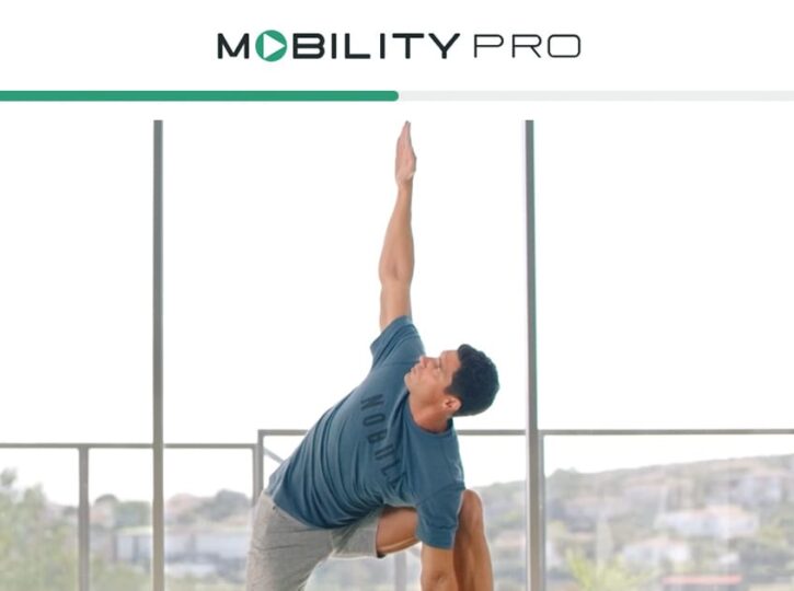 mobility pro feature